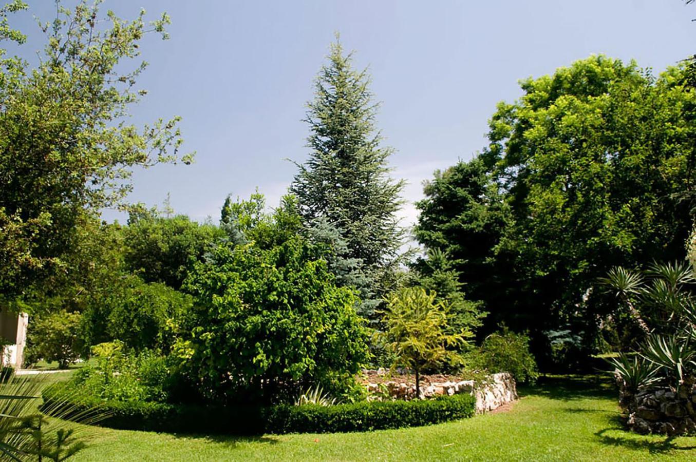 Palmaja Daire Kastela Dış mekan fotoğraf
