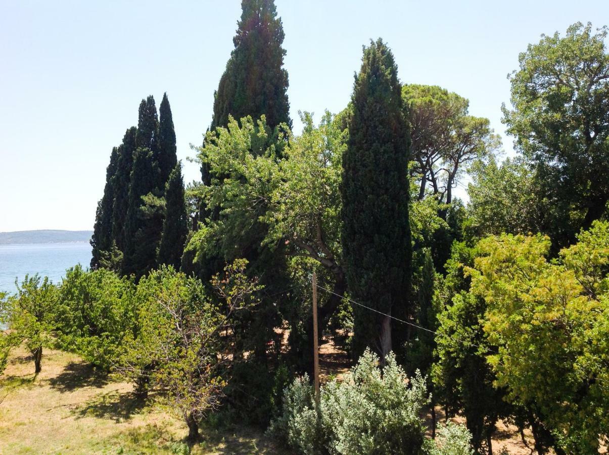 Palmaja Daire Kastela Dış mekan fotoğraf